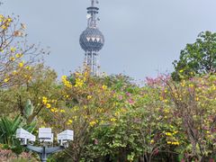 -文华公园(禅城区)