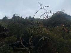 -林坑古村落