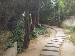 -青岛崂山太清宫