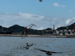 -海驴岛(荣成市)