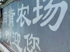 -洞背山庄(洞背院区式管理小区店)