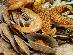 -小螺号海鲜·地道鲁菜(泉城广场店)