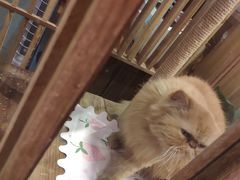 -吉·拾串烧烤专门店(领show天地店)