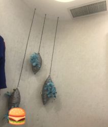 -健身堂科技美肌SPA