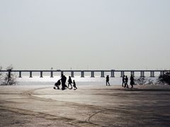 -宝安西湾红树林湿地公园