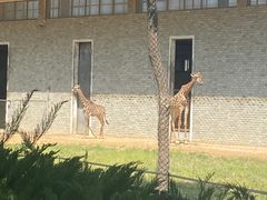 -石家庄市动物园