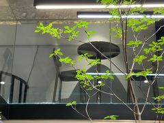 -粉吖吖·邵阳米粉(体育西路店)