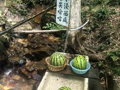 -莫干山风景区