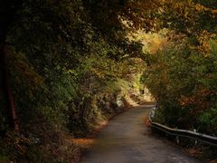 -叠溪松坪沟景区