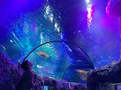 -沈阳海洋探索中心