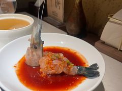 -觀芷隐轩