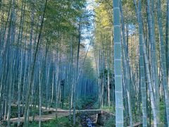 -黄公望隐居地