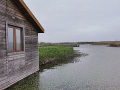-宁波杭州湾国家湿地公园