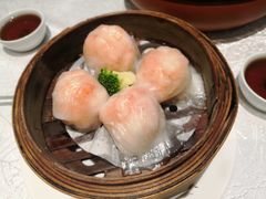 -老广新意(奥园店)