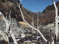 -叠溪松坪沟景区