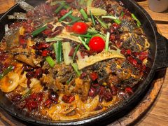 -老板恋上鱼(恒隆广场店)