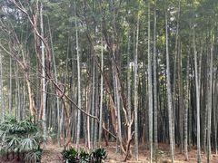 -同里国家湿地公园