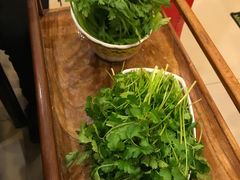 -芦月轩羊蝎子(北蜂窝店)