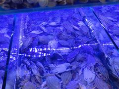 -海韵之星邮轮水会(明发商业广场店)