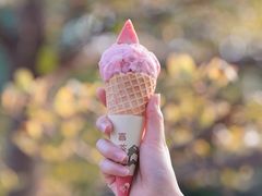 -喜茶(深圳欢乐海岸LAB店)