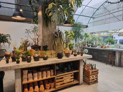 -自由生长植物工作室(深港花卉中心店)
