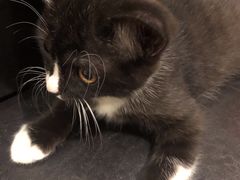 -么么咖啡(燕郊店)