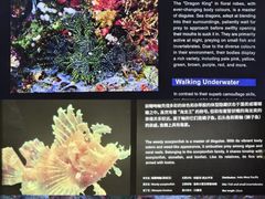 -上海海洋水族馆