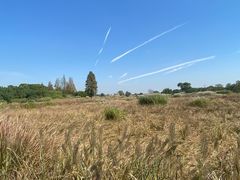 -良渚古城遗址公园