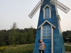 -铁山坪森林公园