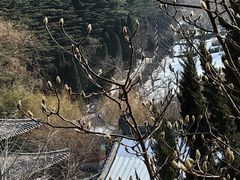 -石岛赤山风景区