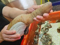 -巽寮印象美食部落餐厅·海鲜·地方特色菜(惠州体验店)