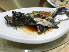 清蒸苏鼠斑-御同亨酒楼·喜宴