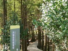 -广州市帽峰山景区