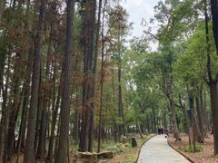 -东湖落雁景区