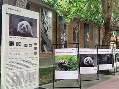 -西安电影制片厂