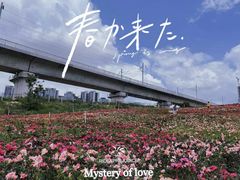 -光明小镇欢乐田园