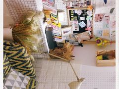 -白日梦奶茶