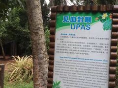 -海南热带野生动植物园