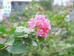 -maan coffee漫咖啡(通州店)