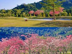 -风云岭森林公园