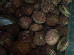 -和源祥·日照菜扛把子(万平口一店)