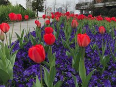 -丹东路渡口(轮渡站)