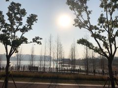 -九龙湖公园