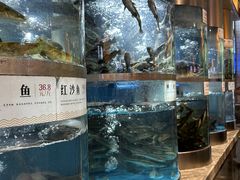 -老船舫·现做活鲜鱼馆(东郊记忆店)