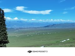 -新疆那拉提国家旅游度假区
