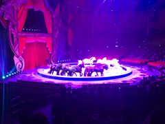 -珠海横琴长隆《卡卡虎奇遇记》