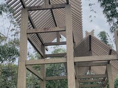 -桤木河湿地公园