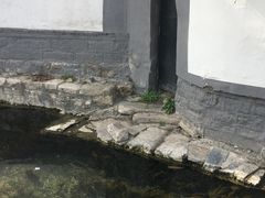-曲水曦和饮品店(曲水亭街)