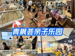 -青枫公园