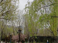 -长白岛森林公园